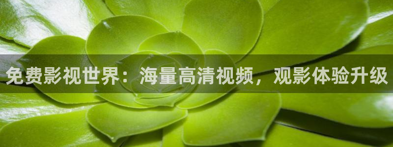 777玖玖資源視頻：免費影視世界：海量高清視頻，觀影體驗升級