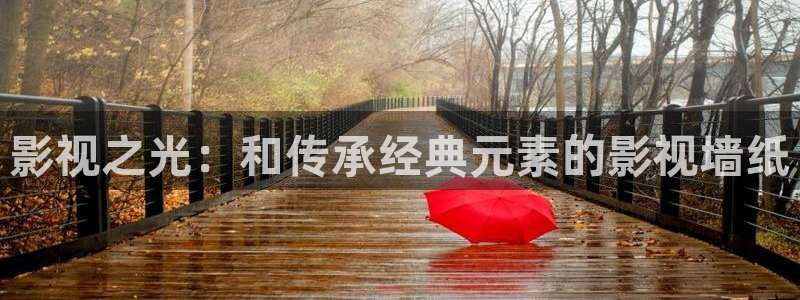玖玖愛精品視頻：影視之光：和傳承經典元素的影視墻紙