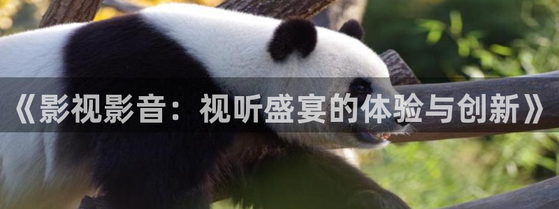 玖玖每天在線播放