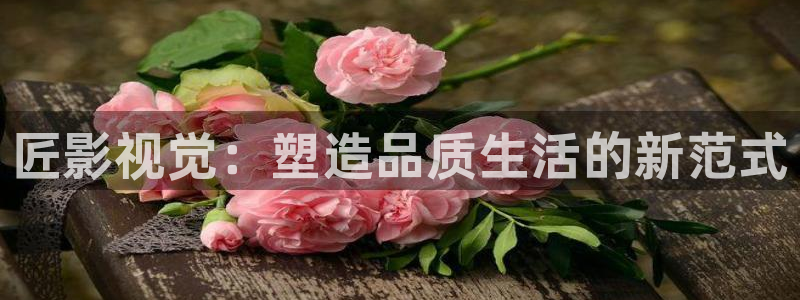 玖玖玖精品視頻：匠影視覺：塑造品質(zhì)生活的新范式