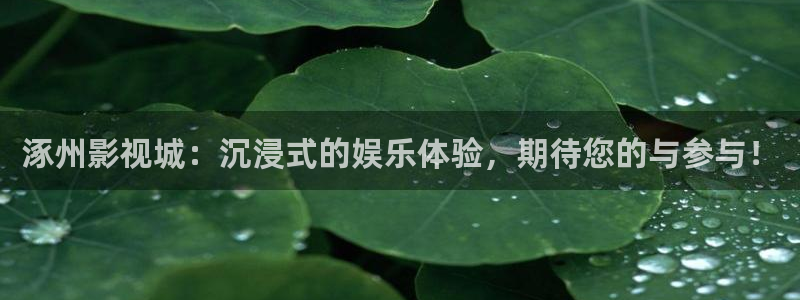 玖玖資源視頻在線觀看：涿州影視城：沉浸式的娛樂體驗(yàn)，期待您的與參與！